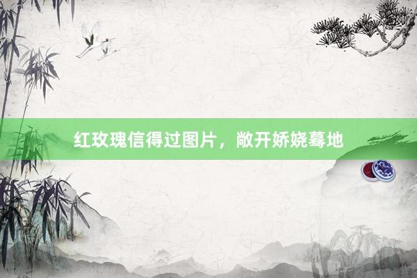 红玫瑰信得过图片，敞开娇娆蓦地