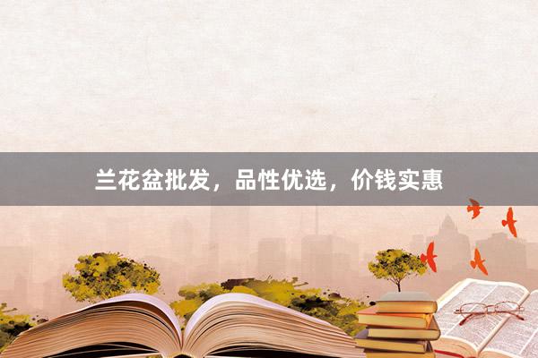 兰花盆批发，品性优选，价钱实惠